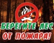 Пожароопасный период в Воткинске продлён