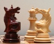 Фестиваль шахмат-2011 в школе №5