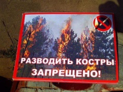 Пикники в лесу под запретом до 1 сентября
