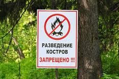В Удмуртии установлен особый противопожарный режим