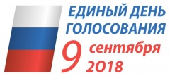 В воскресенье пройдут дополнительные выборы депутатов Воткинской городской Думы
