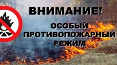 С 19 апреля на территории Удмуртской Республики действует пожароопасный режим