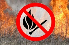 В лесах Удмуртии установлен особый противопожарный режим