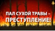Пал сухой травы – это преступление!