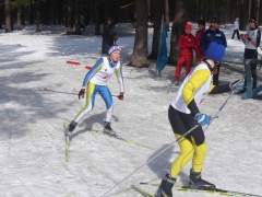 Новости спорта