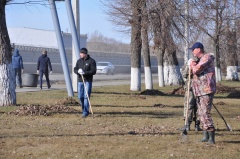 Акция «Чистый город»