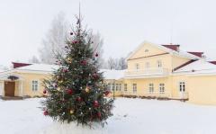 Не проспите Новый год!