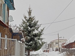Продолжительный снег, местами сильный, прогнозируют на ближайшие сутки синоптики