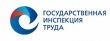 Личный приём граждан заместителем руководителя Государственной инспекции труда