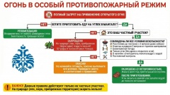 Особый противопожарный режим в Удмуртии: цена ошибки высока!