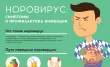 Норовирусная инфекция и меры ее профилактики