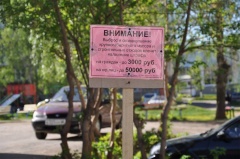 Цветы вместо мусора