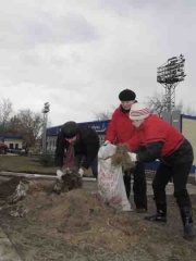 Чистим город к зиме