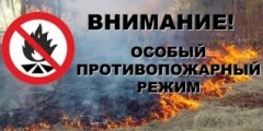 Разведение костров в лесу запрещено. 