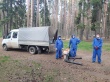 Обработка леса от клещей проведена