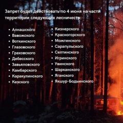 С 17 мая в Удмуртии ввели запрет на посещение лесов