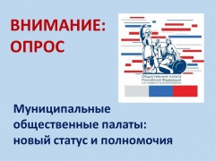 Какими должны быть полномочия, права и обязанности муниципальных общественных палат?