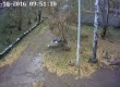 Видеосъемка – способ борьбы со свалками