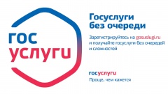 На выборах можно будет зарегистрироваться на портале госуслуг
