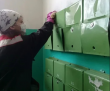 Генеральная уборка в городских масштабах продолжается
