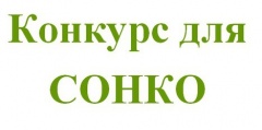 Дополнительный конкурс по предоставлению субсидий социально ориентированным некоммерческим организациям в 2018 году.