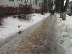 На календаре весна, а заботы зимние