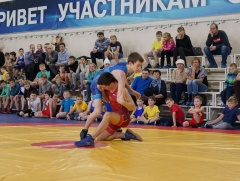 В Воткинске пройдет первенство Удмуртии по греко-римской борьбе