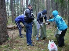 Вместе благоустроим «тропу здоровья» в березовском лесу