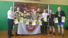 Чемпионат смешанных боевых искусств