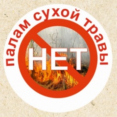 Пал сухой травы – это преступление!