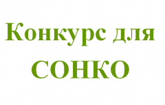 Конкурс по предоставлению субсидий социально ориентированным некоммерческим организациям в 2019 году