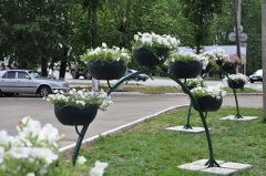 Воткинск расцветает 