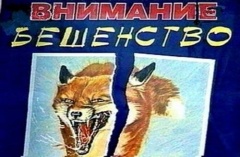 Осторожно – бешенство!