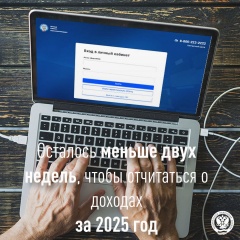Осталось меньше двух недель, чтобы отчитаться о доходах за 2025 год
