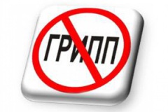 На вопросы о гриппе ответят по «горячей линии»