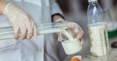 В Удмуртии пройдет горячая телефонная линия по качеству молочной продукции