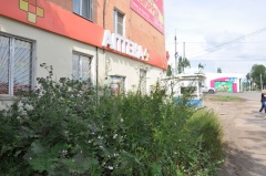 Городские рейды по соблюдению правил благоустройства