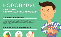 Норовирусная инфекция и меры ее профилактики