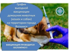 Ветеринарная станция начинает выездную вакцинацию собак и кошек против бешенства