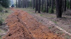 О защите от пожаров напоминают собственниками строений, граничащих с лесом