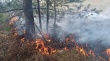В Удмуртии наблюдается высокая пожароопасность лесов 4 класса