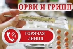 Горячая телефонная линия «О профилактике ОРВИ и гриппа»