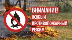 Сохранение противопожарного режима на территории Удмуртии