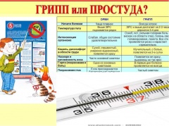 Пора подумать о профилактике вирусных заболеваний