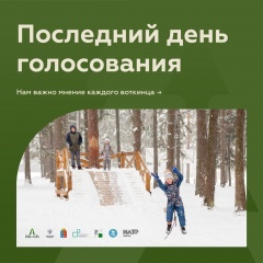 Остался последний день голосования