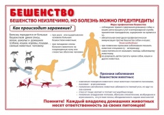 На территории Удмуртской Республики продолжается месячник по профилактике и ликвидации бешенства.