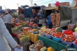 Ярмарки плодоовощной продукции