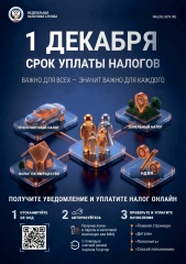 О срока уплаты имущественного налога