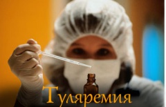 Туляремия – опасная инфекция