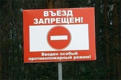Ограничения на посещение лесов
